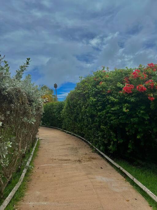 Charme Et Confort Avec Vue Sur Appartement Le Gosier (Grande-Terre)