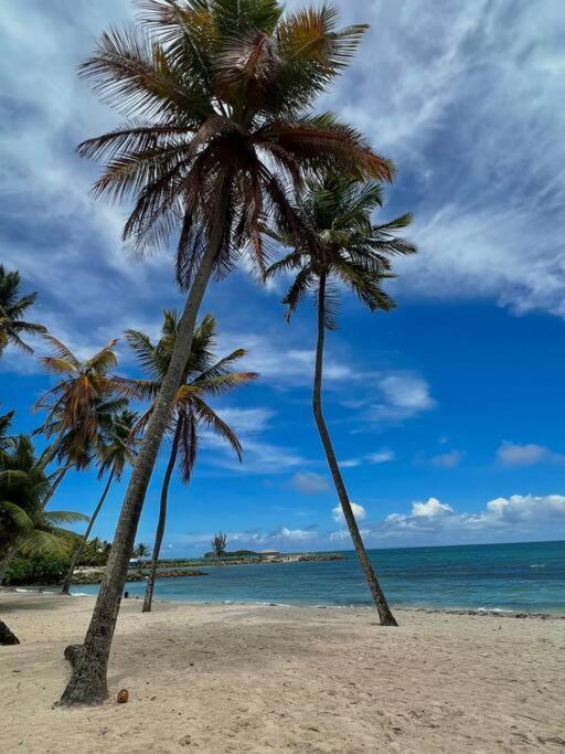 Charme Et Confort Avec Vue Sur Le Gosier (Grande-Terre)